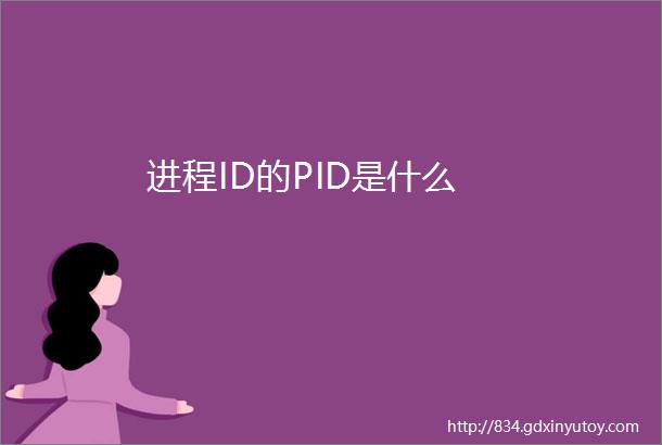 进程ID的PID是什么